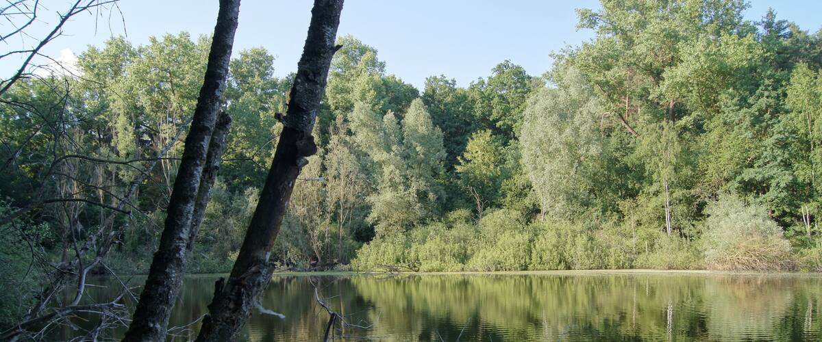 Schafhölle der Biegener Hellen in Hohenwalde (Frankfurt (Oder))