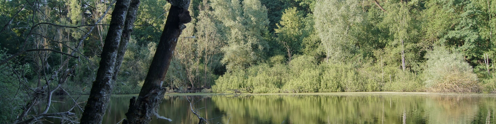 Schafhölle der Biegener Hellen in Hohenwalde (Frankfurt (Oder))