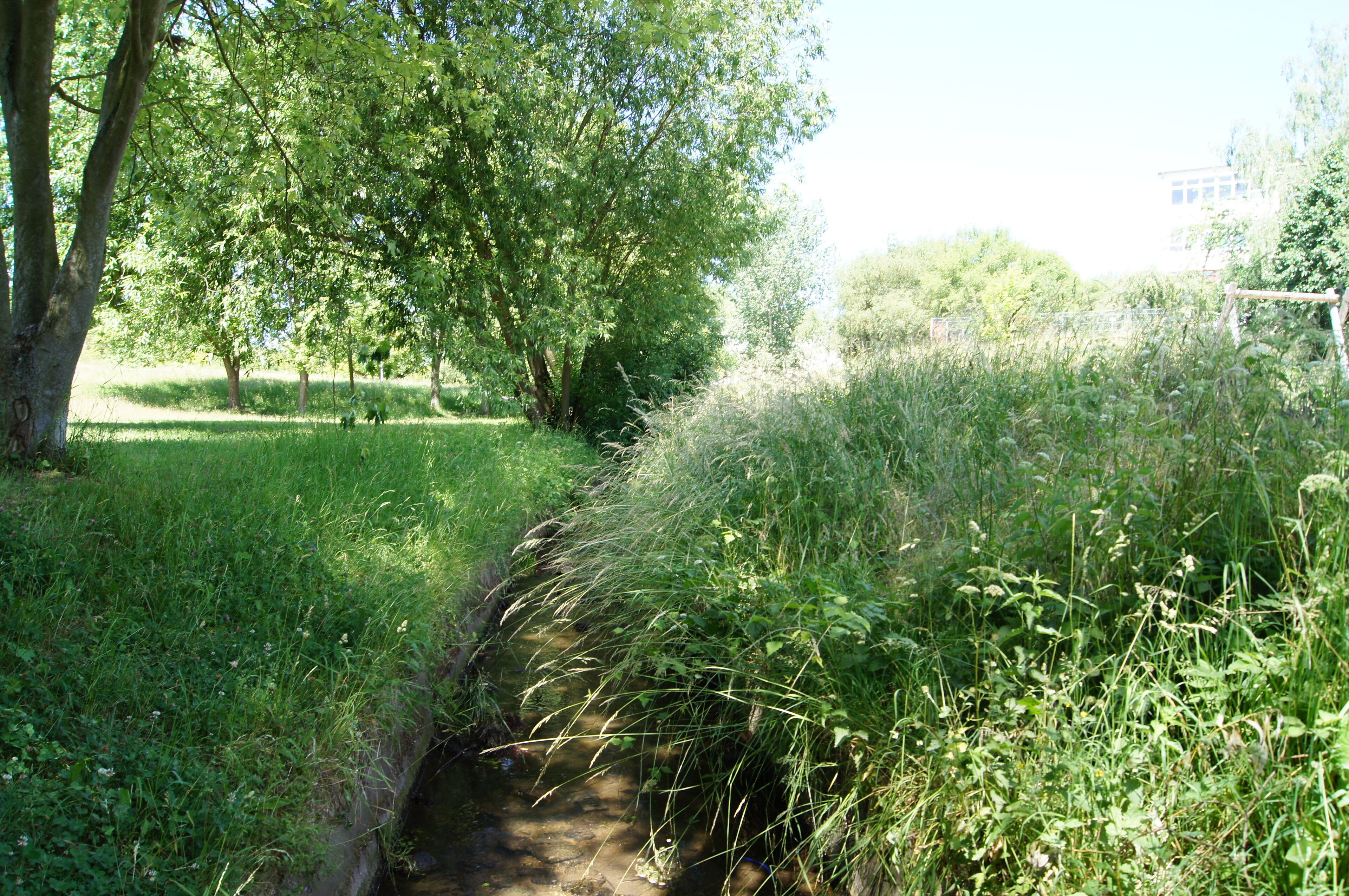 Klinge am Botanischen Garten Frankfurt (Oder)