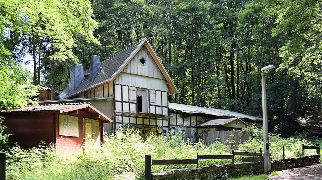 Former restaurant Felsenkeller at Martinsgrund in Gera, Germany