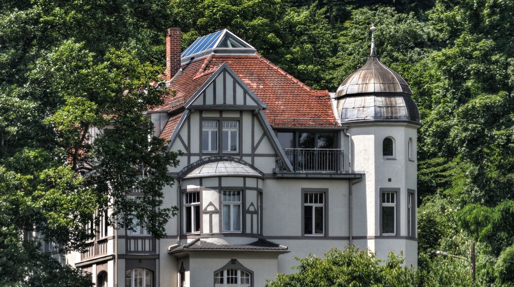 Villa Kaiser at Weinbergstraße 9 in Gera, Germany