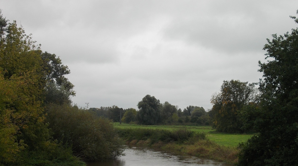 Weisse Elster river in Ammendorf (Halle/Saale, Saxony-Anhalt)
