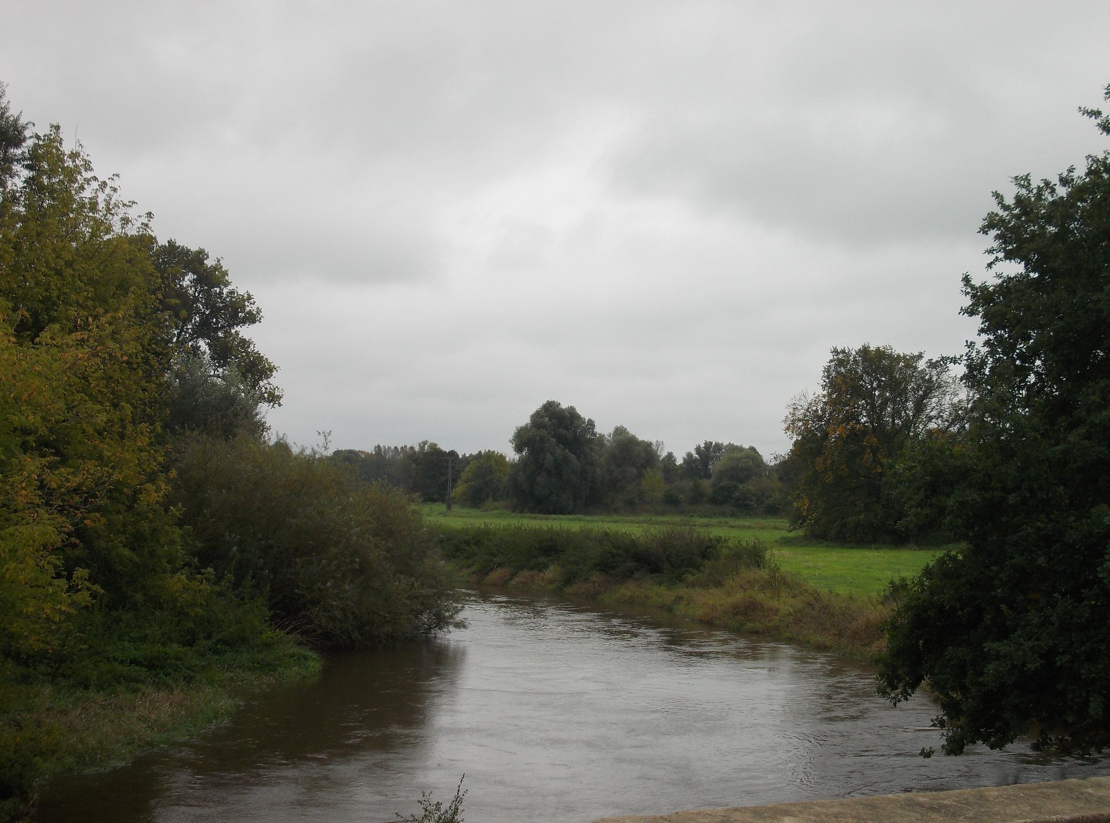 A river flowing through a green landscape with trees and bushes on both sides.