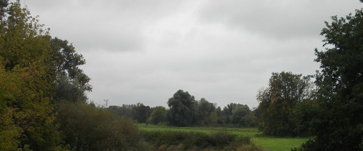 A river flowing through a green landscape with trees and bushes on both sides.