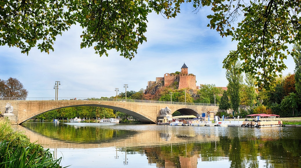Halle-sur-Saale