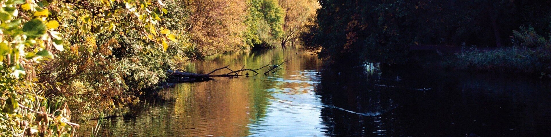 Halle-Neustadt, the church pond