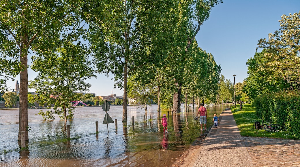Magdeburg