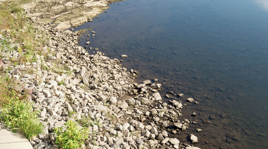 'Domfelsen in der Elbe im Stadtgebiet von Magdeburg.