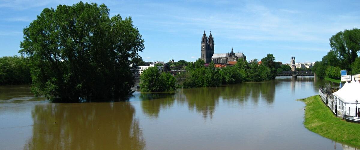 Hochwasser in Magdeburg 2013: Blick von der Sternbrücke in Richtung Dom am 05.06.2013, Pegelstand (Strombrücke) ca. 6,45 m