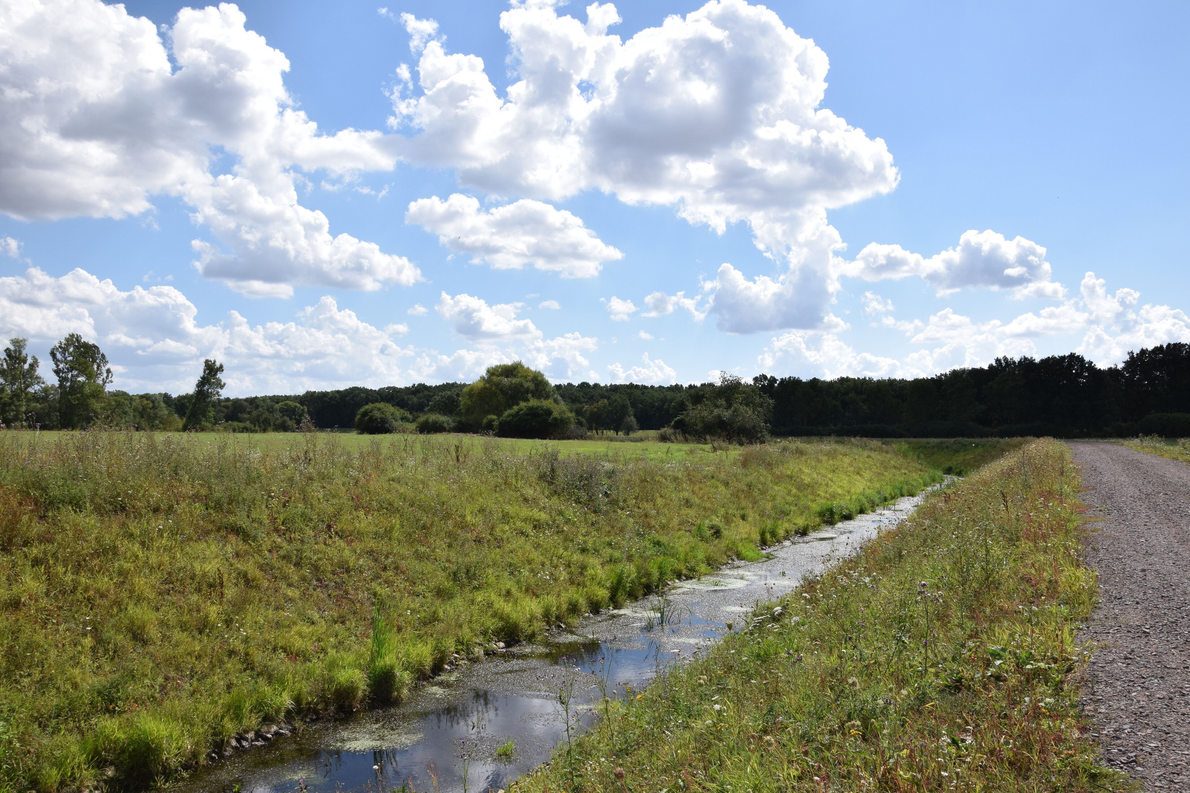 Verlauf der Furtlake vor der Mündung in den Elbe-Umflutkanal (Ehle)