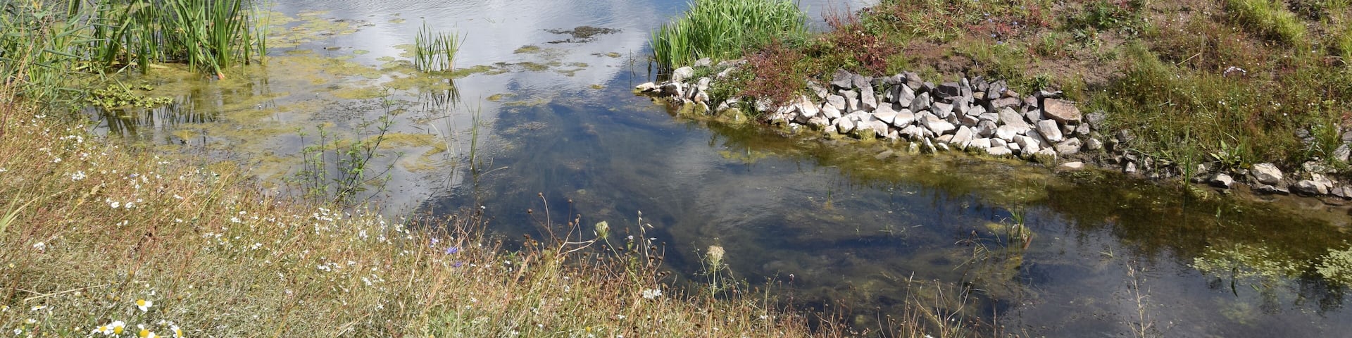 Mündung der Furtlake in den Elbe-Umflutkanal (Ehle)
