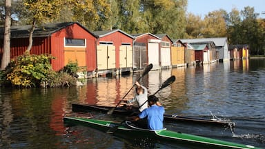 Neubrandenburg showing a coastal town, a bay or harbour and a lake or waterhole