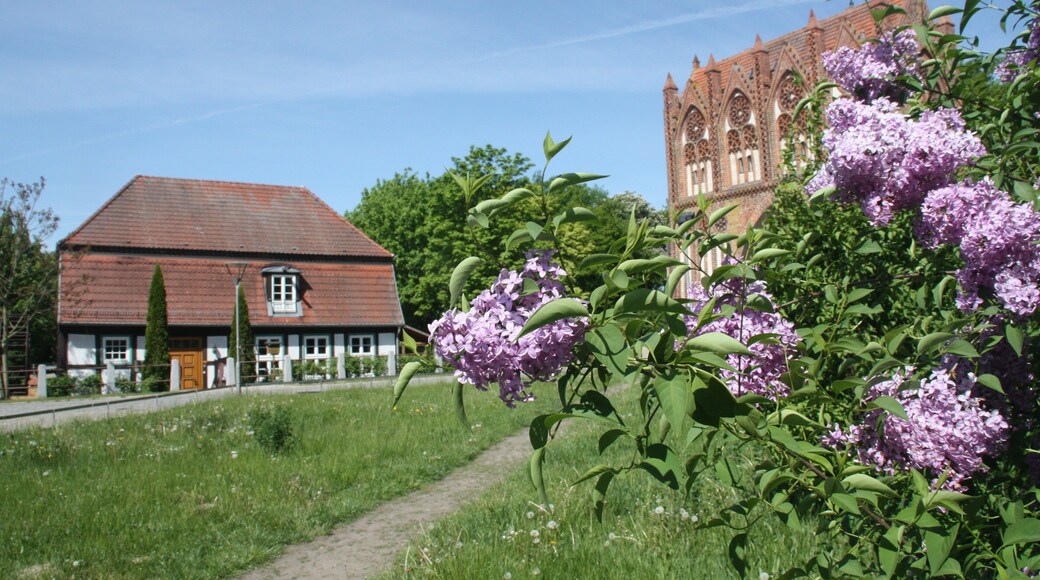 Neubrandenburg showing flowers, a house and heritage architecture