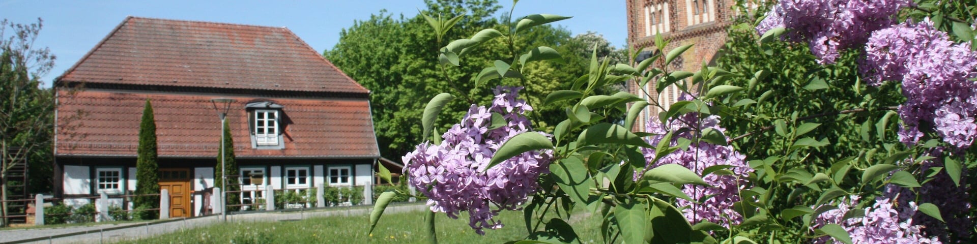 Neubrandenburg showing flowers, a house and heritage architecture