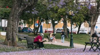 Lapa showing wildflowers and a park as well as an individual femail