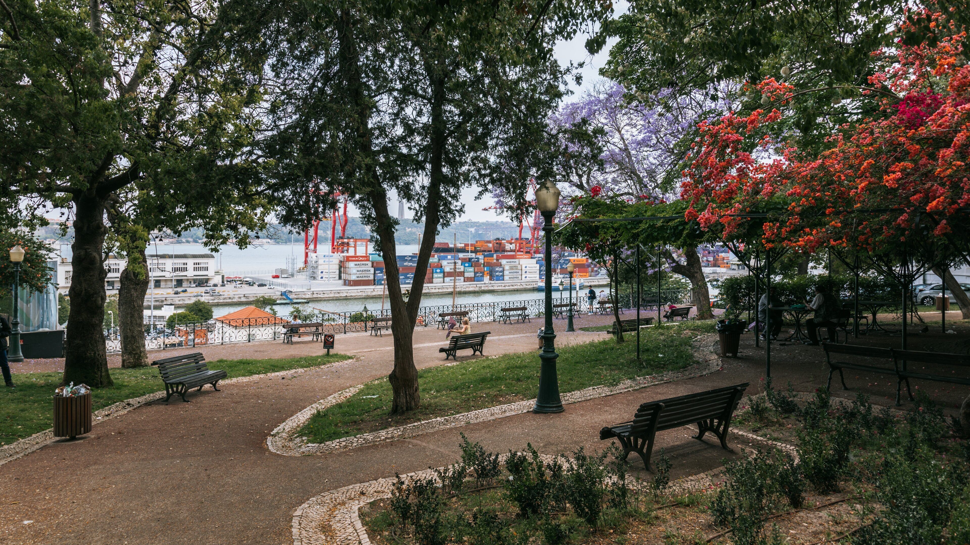 Lapa featuring a garden