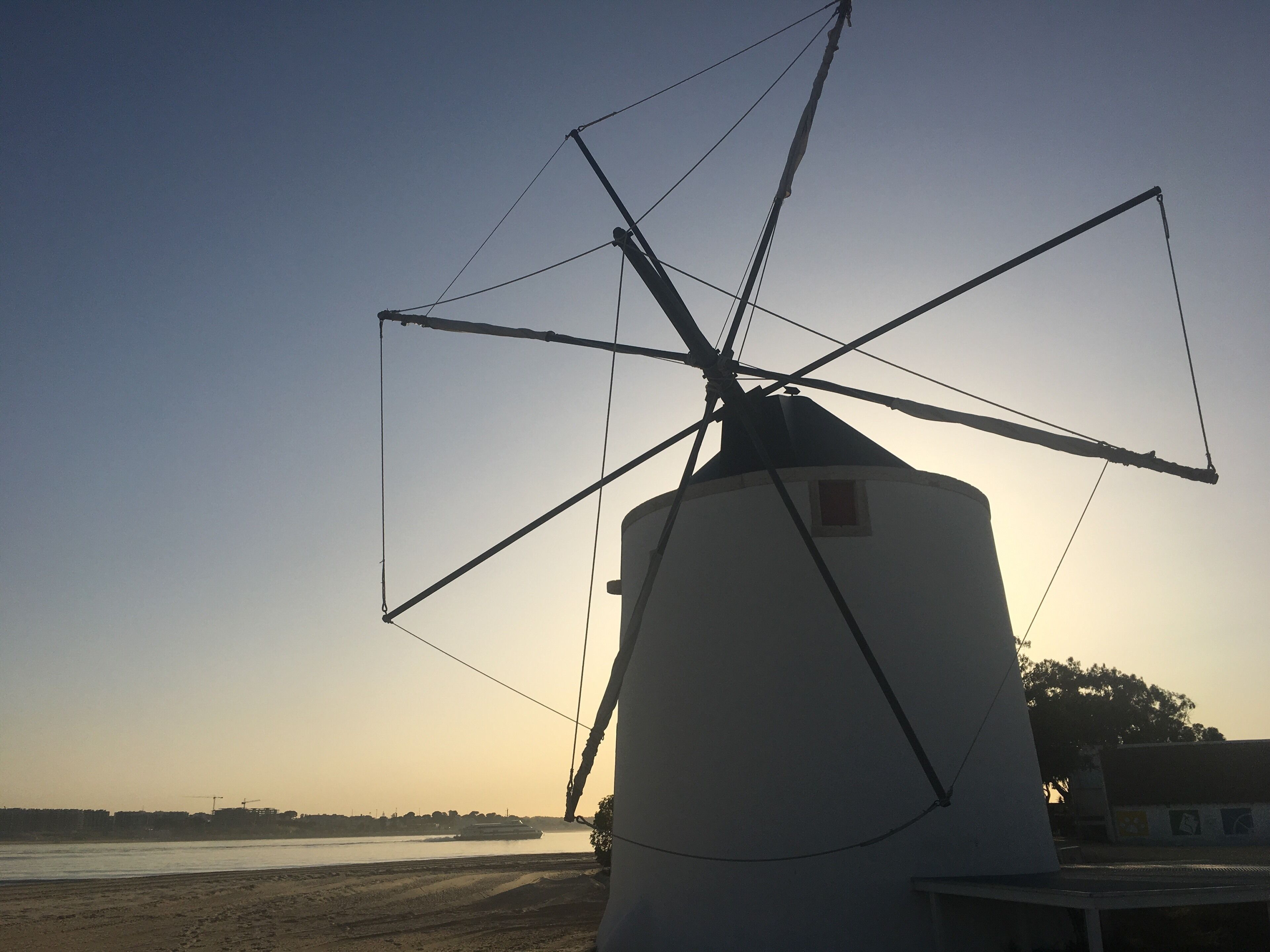 I tossed my thoughts aside and allowed intuition to guide my path, and at every turn, I was met with serendipity