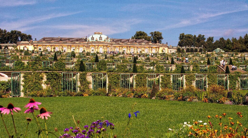 While most people may know Potsdam for the Potsdam Conference at the conclusion of World War II - However the city is quite beautiful and makes for a wonderful daytrip from Berlin.
The city is home to two palaces - including the stunning Sanssouci Palace with it's terraced gardens