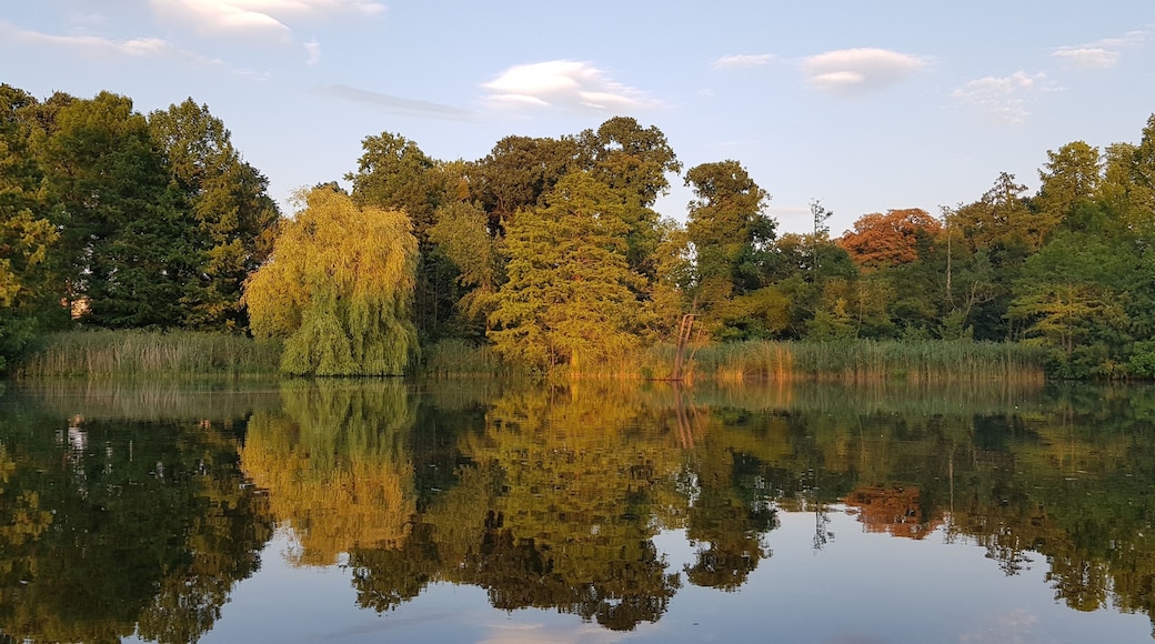 Potsdam is a great place to visit since it seems that the German history stopped here. BY walking around you can find out everything happened for German
