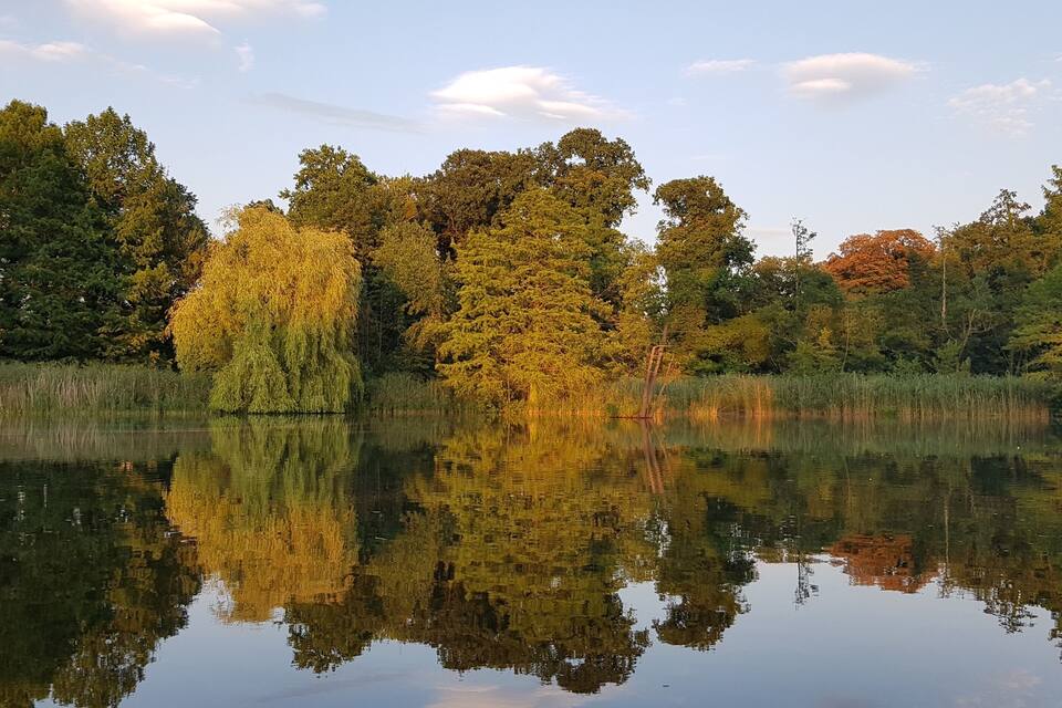 Un lago tranquilo con reflejos de árboles y un cielo despejado.