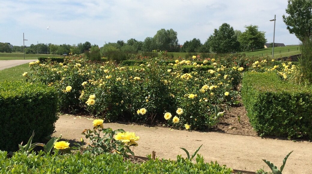 When in Potsdam make sure to visit the Volkspark former venue of the biennial Federal horticulture show from 2001 #LifeAtExpedia