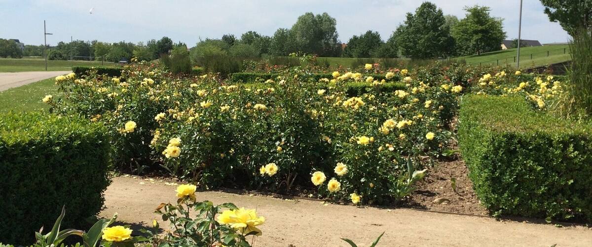 When in Potsdam make sure to visit the Volkspark former venue of the biennial Federal horticulture show from 2001 #LifeAtExpedia