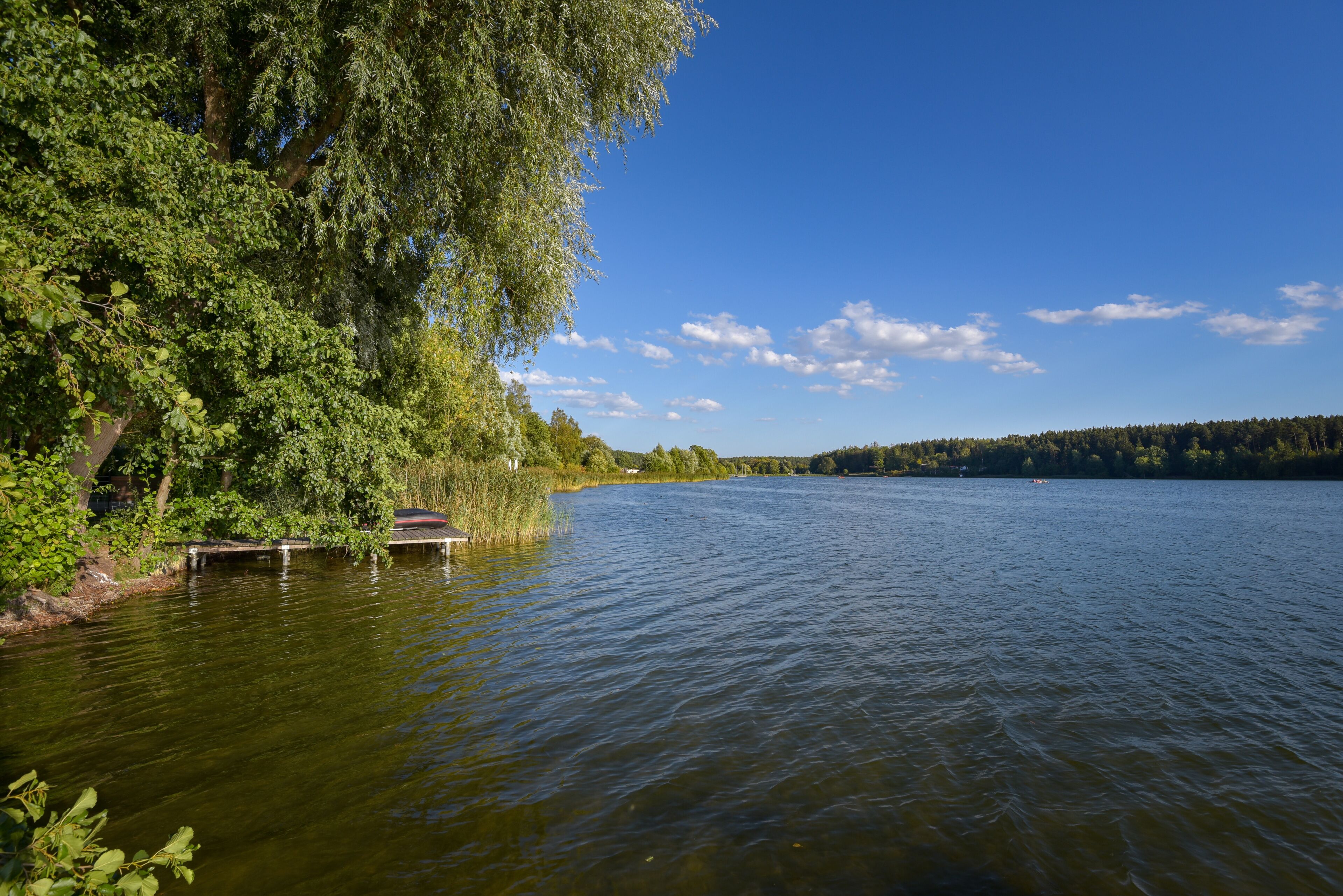 Um lago calmo com um píer, rodeado por árvores densas e um céu azul límpido.