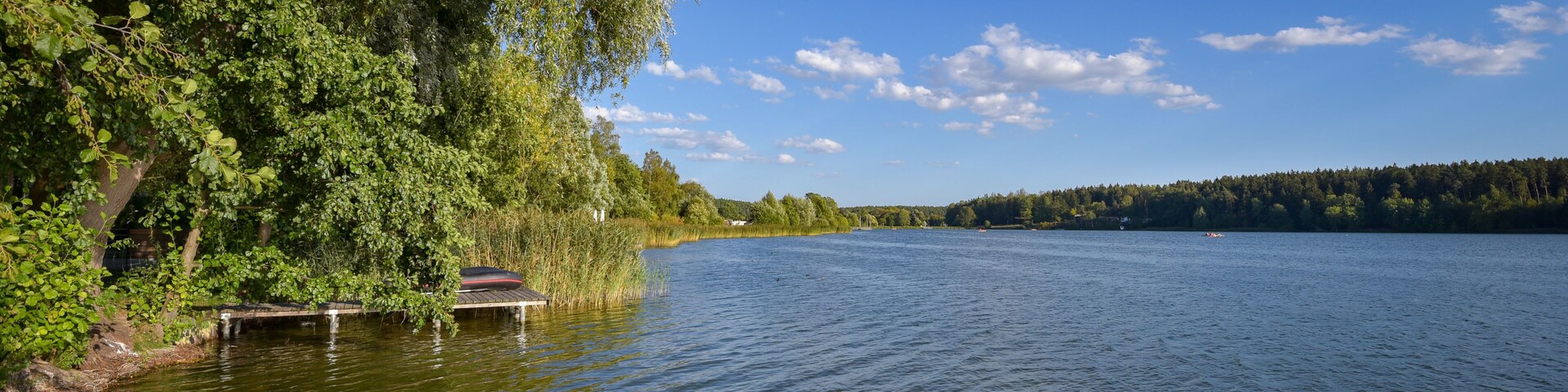 Um lago calmo com um píer, rodeado por árvores densas e um céu azul límpido.