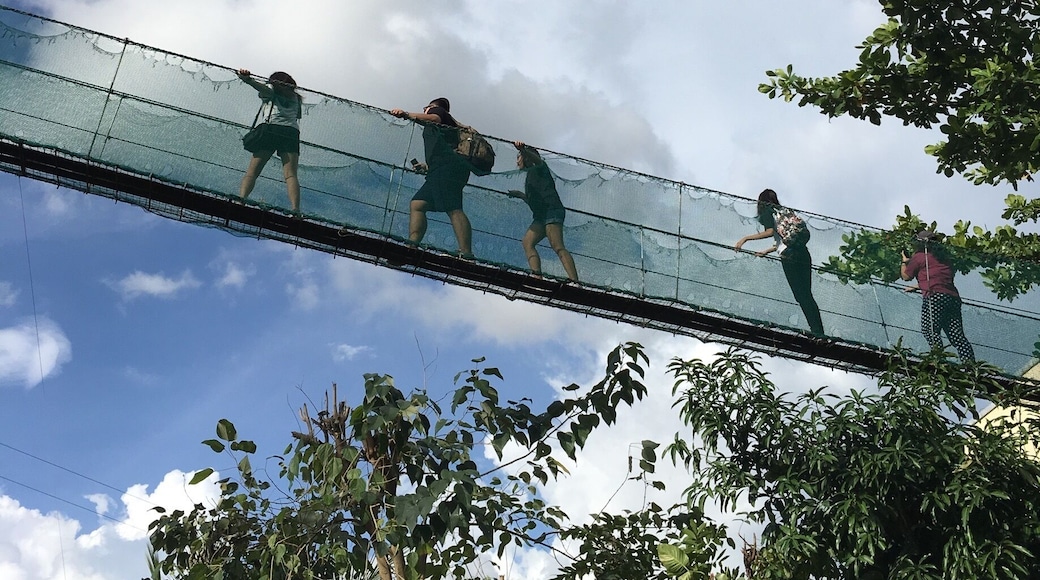 A treat experiencing Cloud nine and it's hanging bridge.