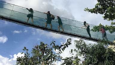 Un grupo de personas caminando sobre un puente colgante con una barandilla de seguridad de malla.