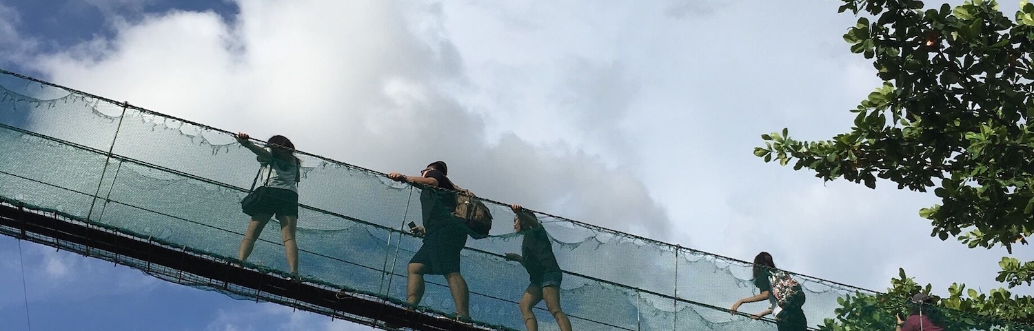 Un grupo de personas caminando sobre un puente colgante con una barandilla de seguridad de malla.