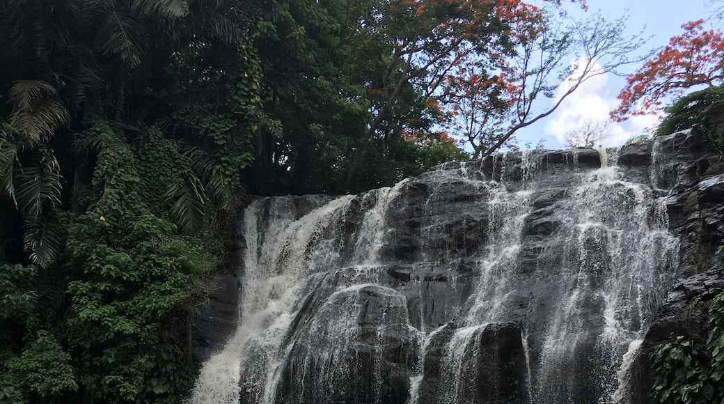 Beautiful waterfall in the mist of this historical park.