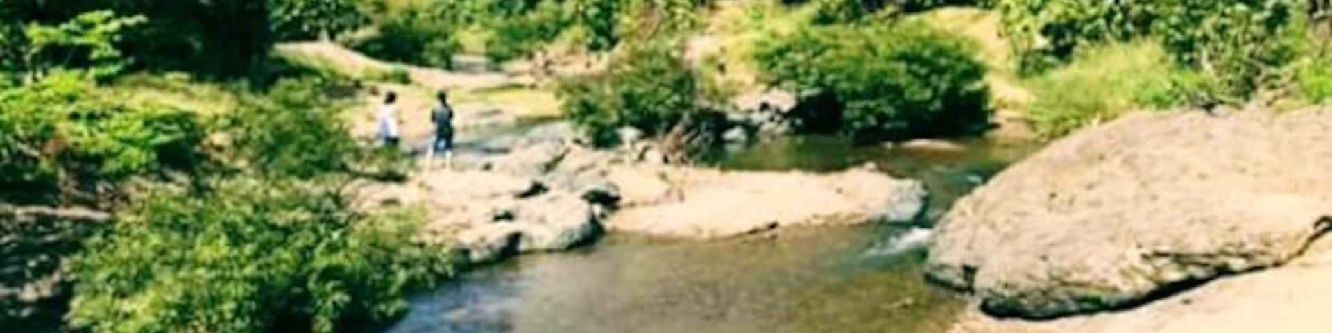 Um rio serpenteando por uma paisagem rochosa, com vegetação densa nas margens.