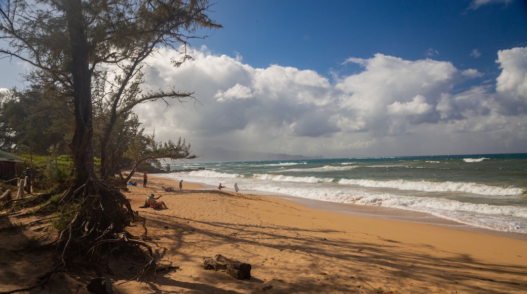 Lower Paia Park featuring general coastal views and a beach