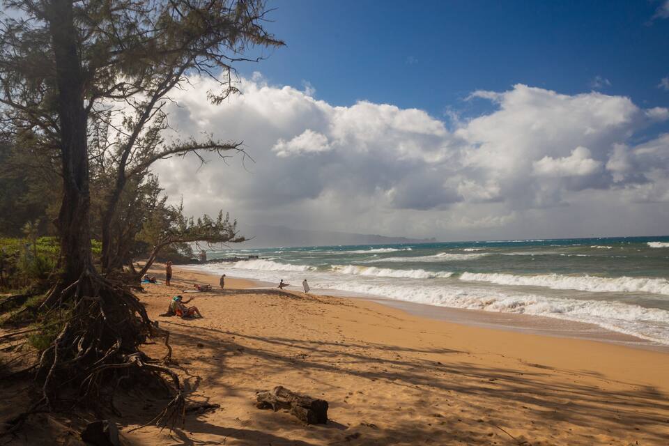 Ein sandiger Strand mit Wellen, ein großer Baum und ein bewölkter Himmel.