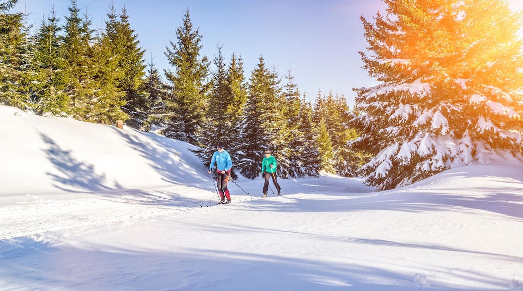 Langlaufen in Winterlandschaft