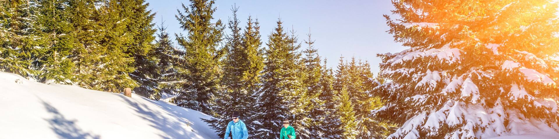 Langlaufen in Winterlandschaft
