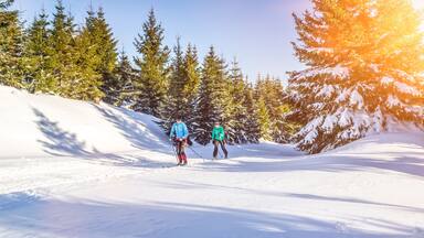 Langlaufen in Winterlandschaft