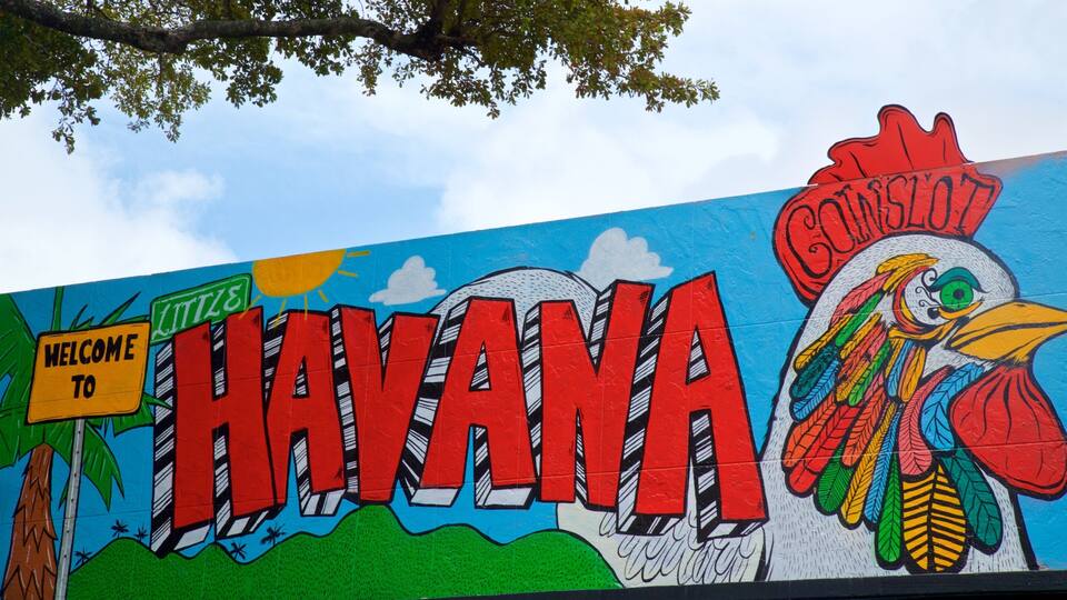 Little Havana which includes outdoor art