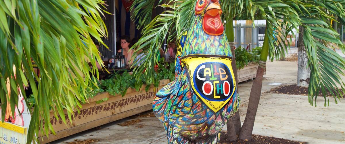 Little Havana featuring outdoor art