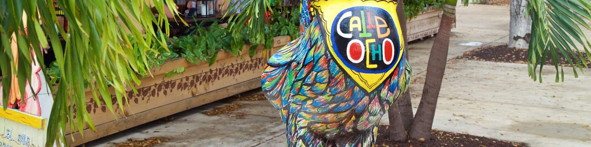 Little Havana featuring outdoor art