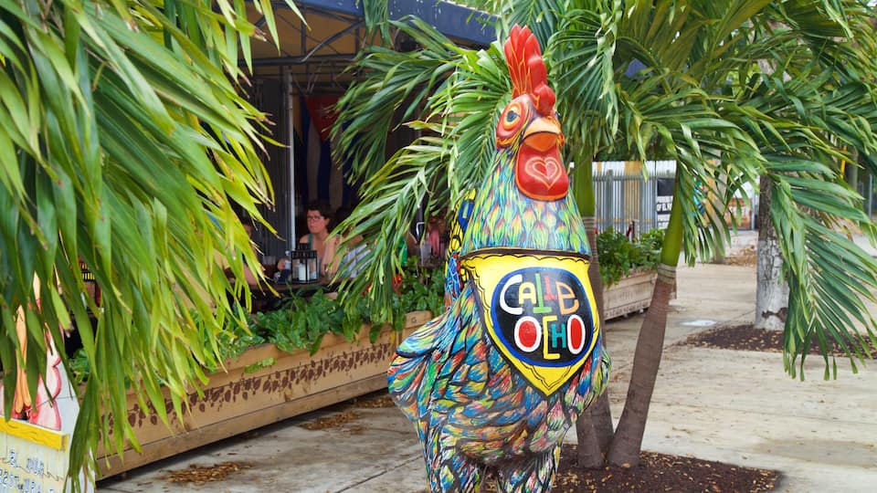 Little Havana featuring outdoor art