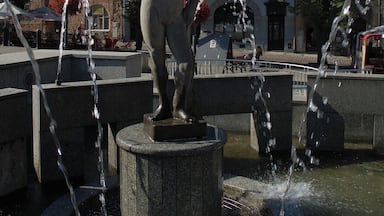 Poseidon Statue in the main square of Bielsko-Biala, a small city around 50 km south of Katowice.
The main square is very pleasant on a warm day, with its numerous bars and restaurants.