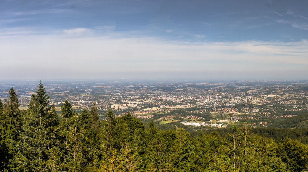 ビエルスコビャワ