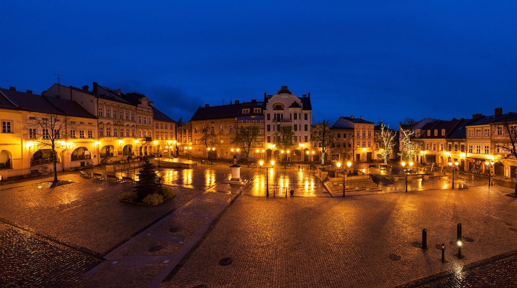 ビエルスコビャワ