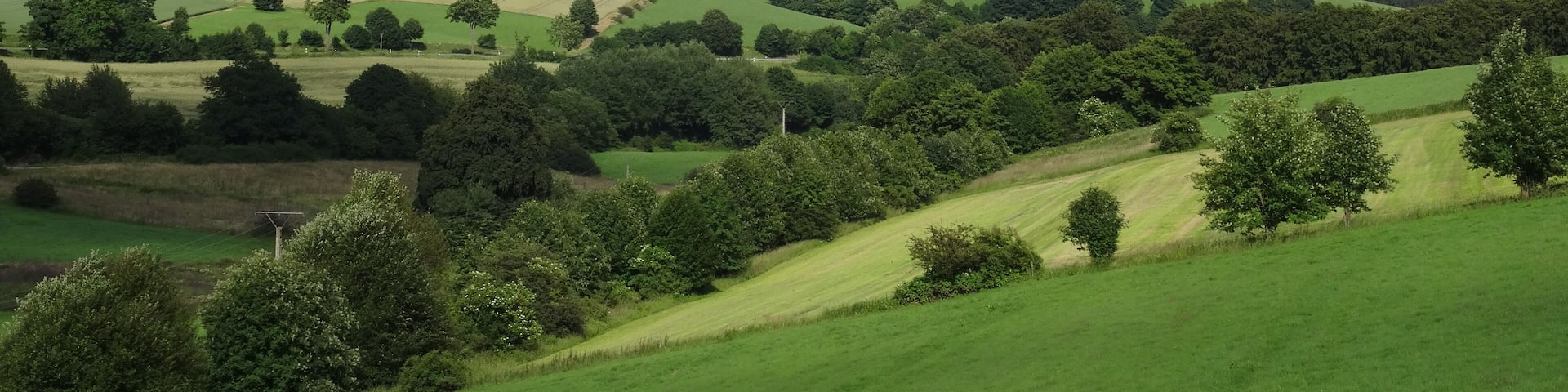 Blick ins Tal der Neerdar