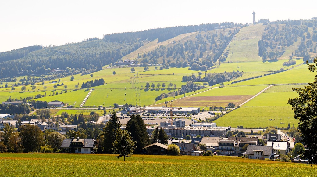 willingen germany in summer panorama