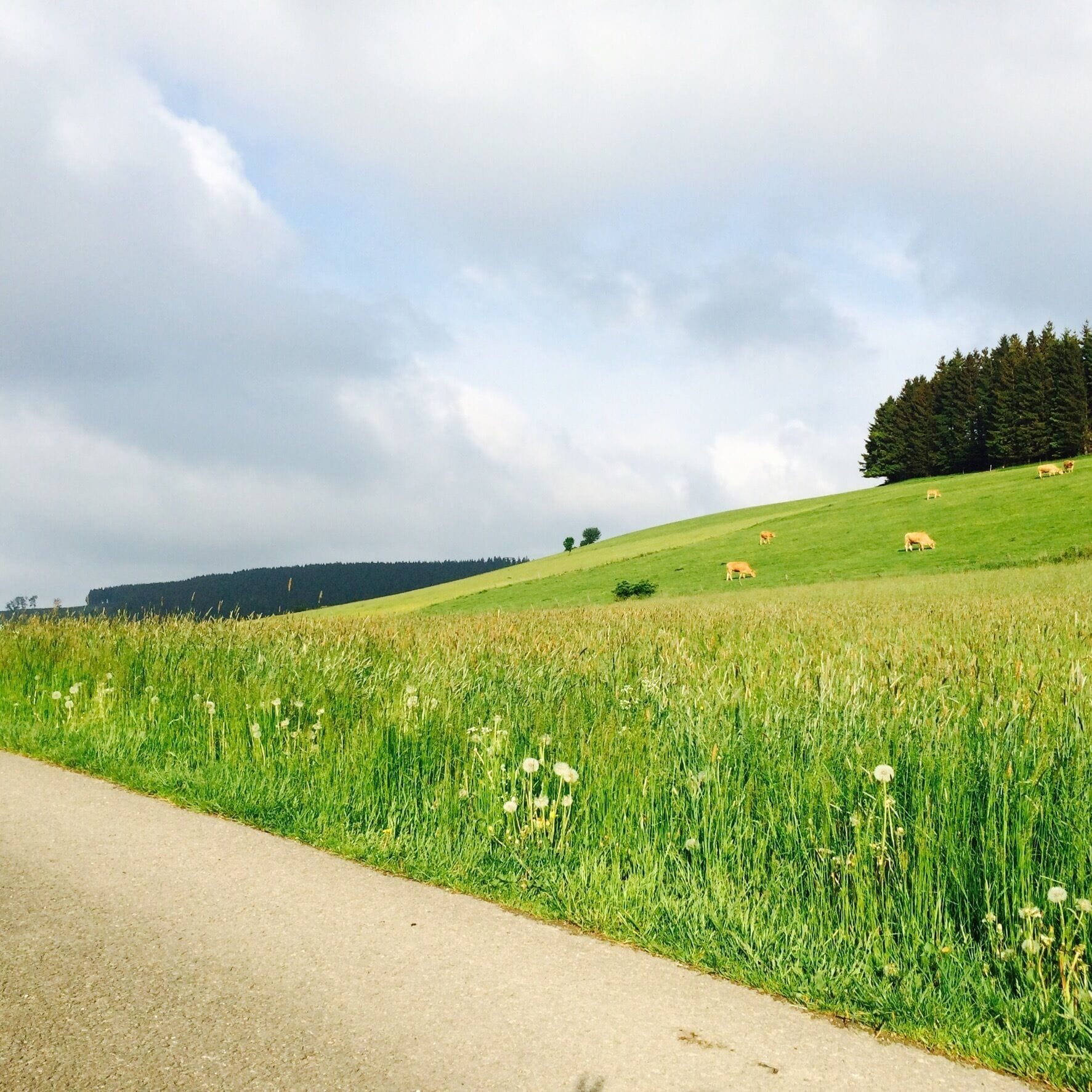 Lost in the countryside  near Willingen.
