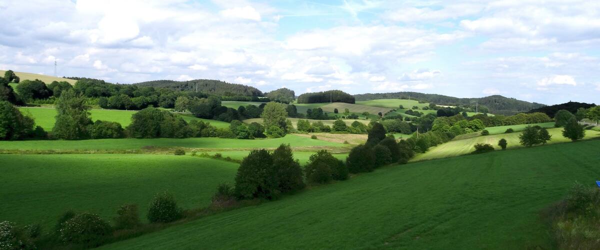 Des collines verdoyantes à perte de vue, un ciel d’un bleu limpide et des arbres dispersés çà et là.