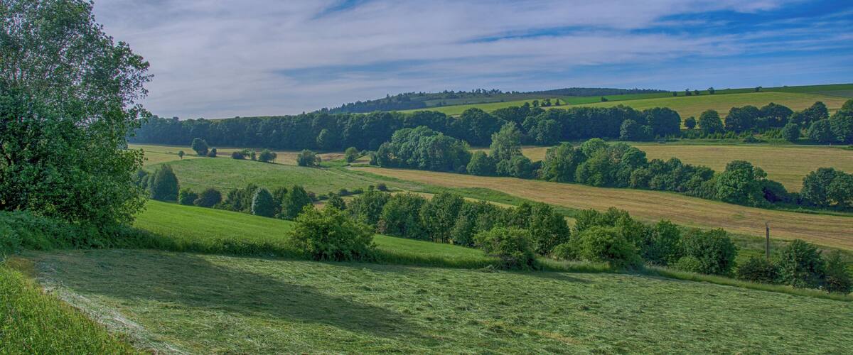 Rolling green hills, a clear sky, and a distant tree line.